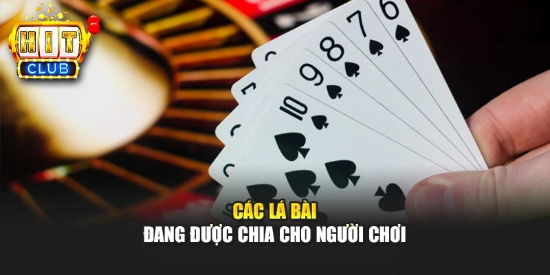 Các lá bài đang được chia cho người chơi