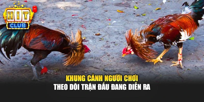Khung cảnh người chơi theo dõi trận đấu đang diễn ra