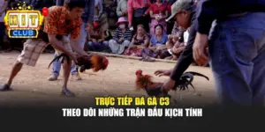 Trực Tiếp Đá Gà C3 – Theo Dõi Những Trận Đấu Kịch Tính
